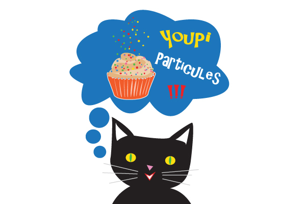 Particules élementaires